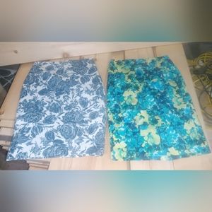 Ann Taylor Skirts Size 2